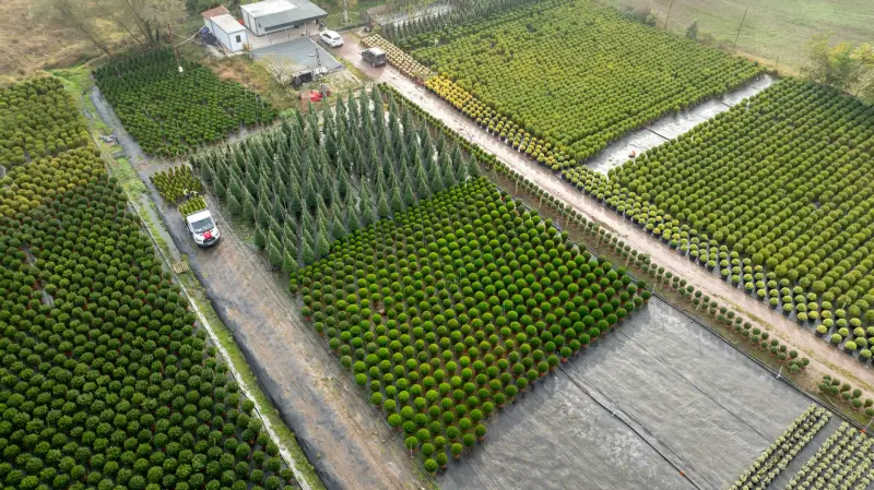 华东PCB企业选用铜箔基板时需关注的介电性能指标