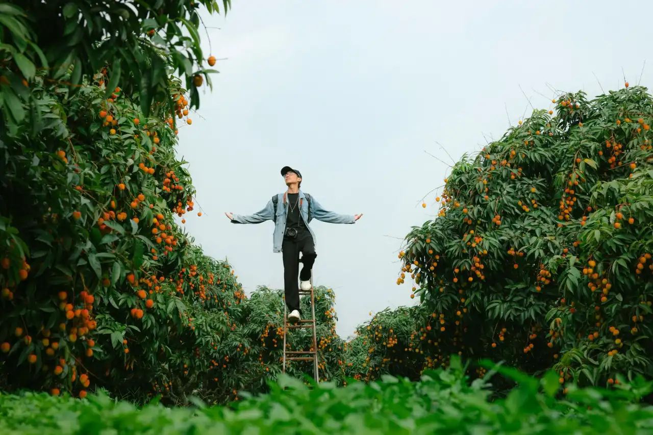 华东地区PCB制造企业铜箔基板供应链优化策略