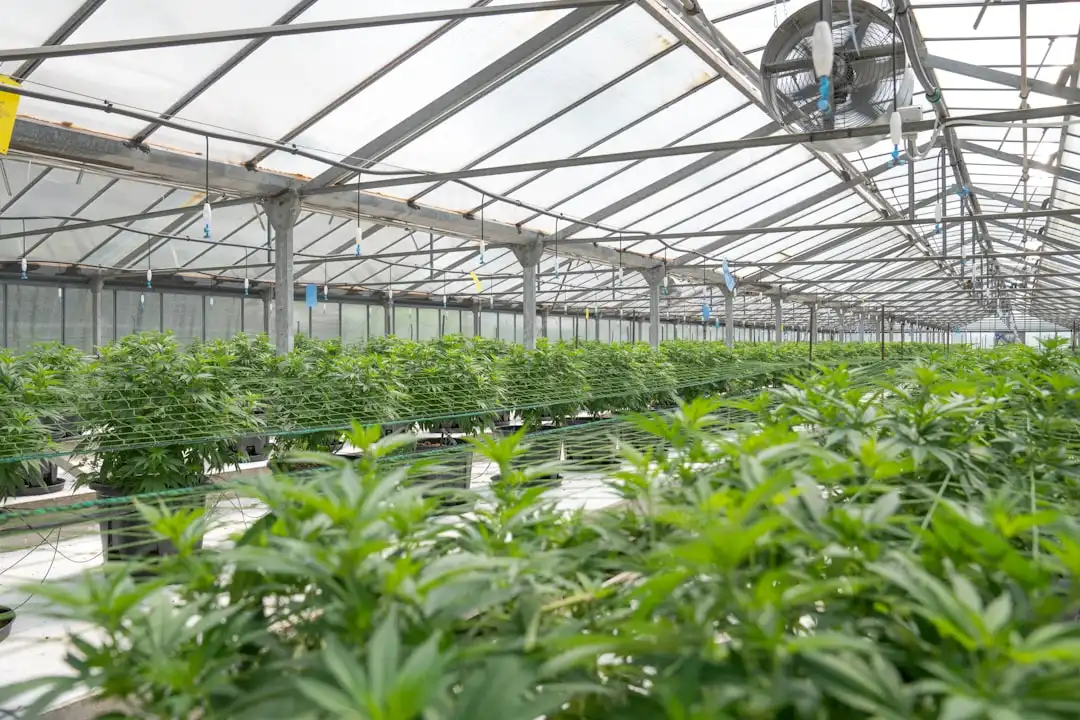 华东PCB企业选用铜箔基板时需关注的介电性能指标对比